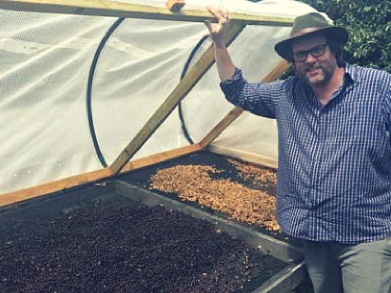 A Visit to Green Lane Coffee Plantation