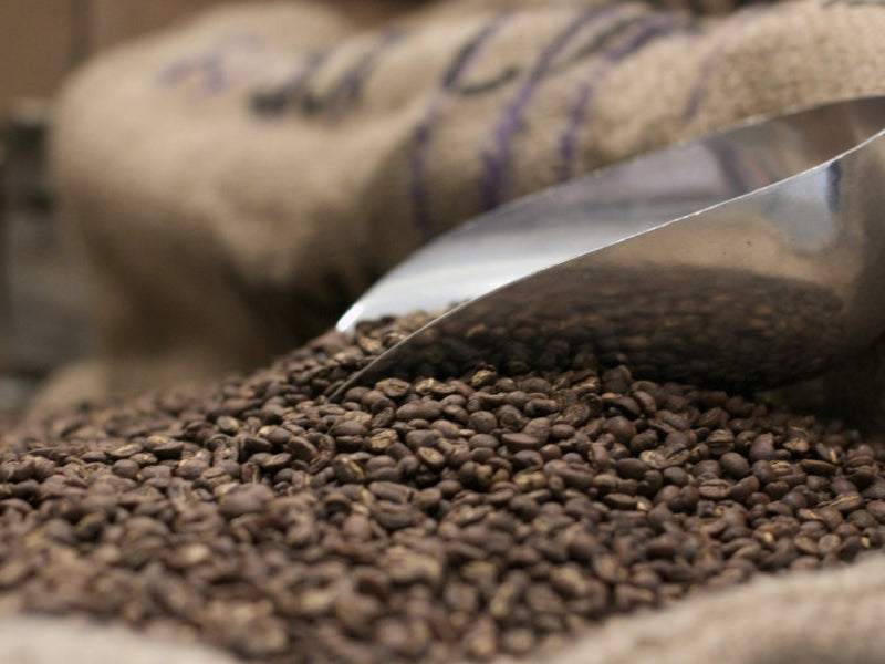 For the Bean. For the People.